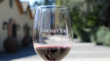 VINICOLA CONCHA Y TORO  ( Tradicional )